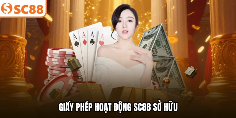 Giấy phép hoạt động SC88 sở hữu